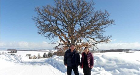 Photo point Furano guide