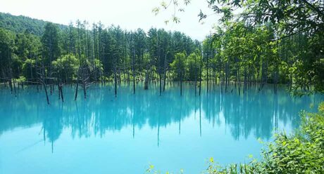 Photo point Furano guide private tour